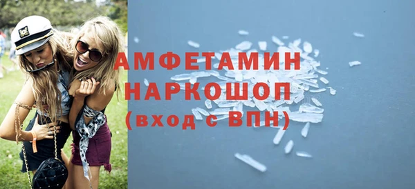 ECSTASY Богданович