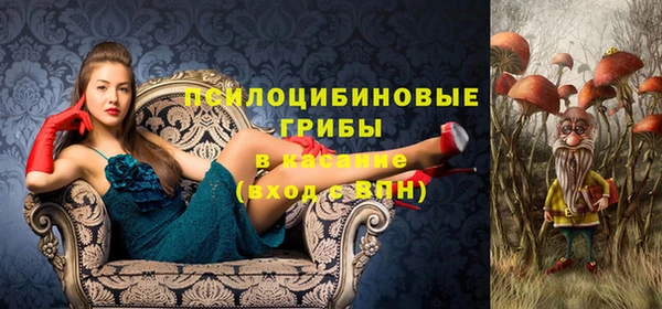 ECSTASY Богданович