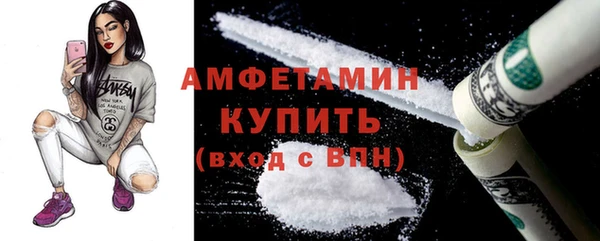 ECSTASY Богданович