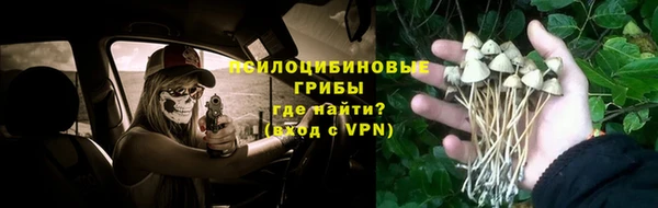 метадон Богородск