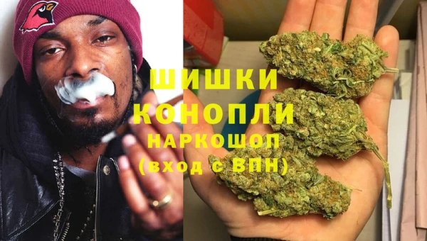 ECSTASY Богданович