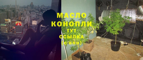 ECSTASY Богданович