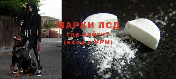 ECSTASY Богданович