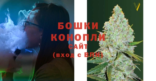 ECSTASY Богданович