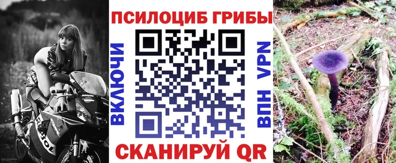 Псилоцибиновые грибы Cubensis Киренск